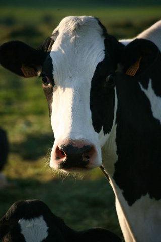 IMG 1789klm