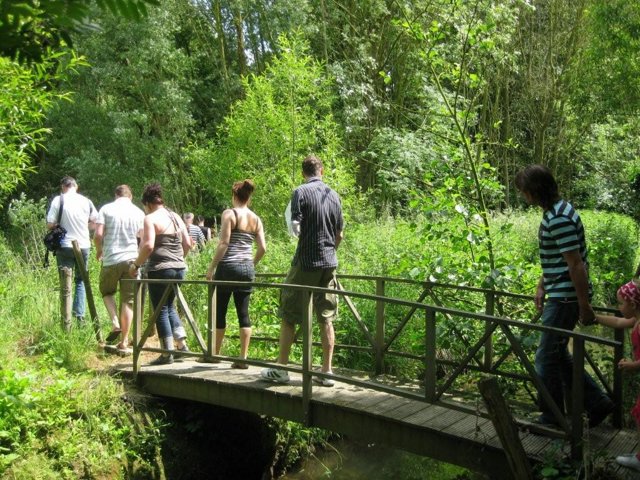 IMG 0689