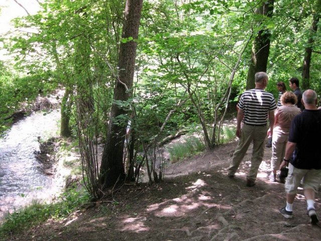 IMG 0707