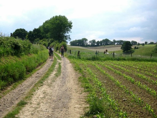 IMG 0718